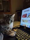 cellow111 Altpins Profile Picture