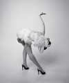 my_dear_petra Altpins Profile Picture