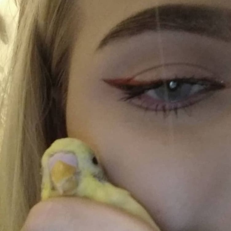 annfigmax instagram image archive image