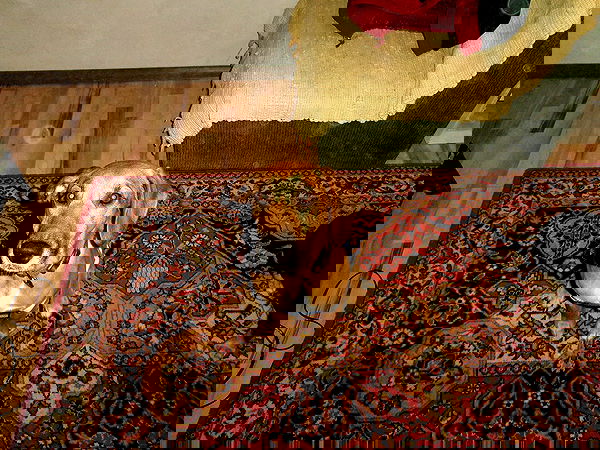 manjolamuriqi manjolamuriqi archive image