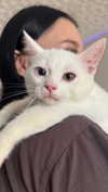 llofreaki Altpins Profile Picture