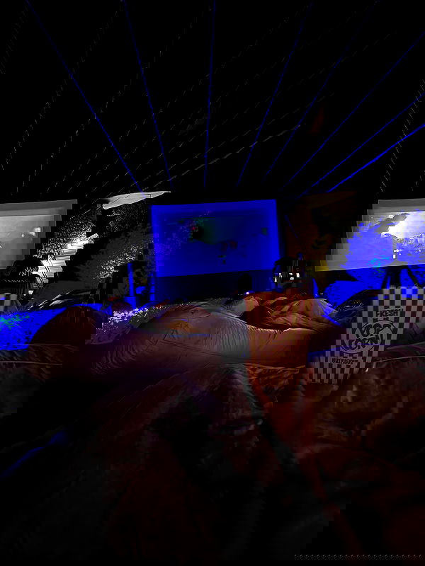 alexandramarianna alexandramarianna archive image