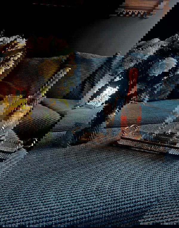 kitty.elliss kitty.elliss archive image