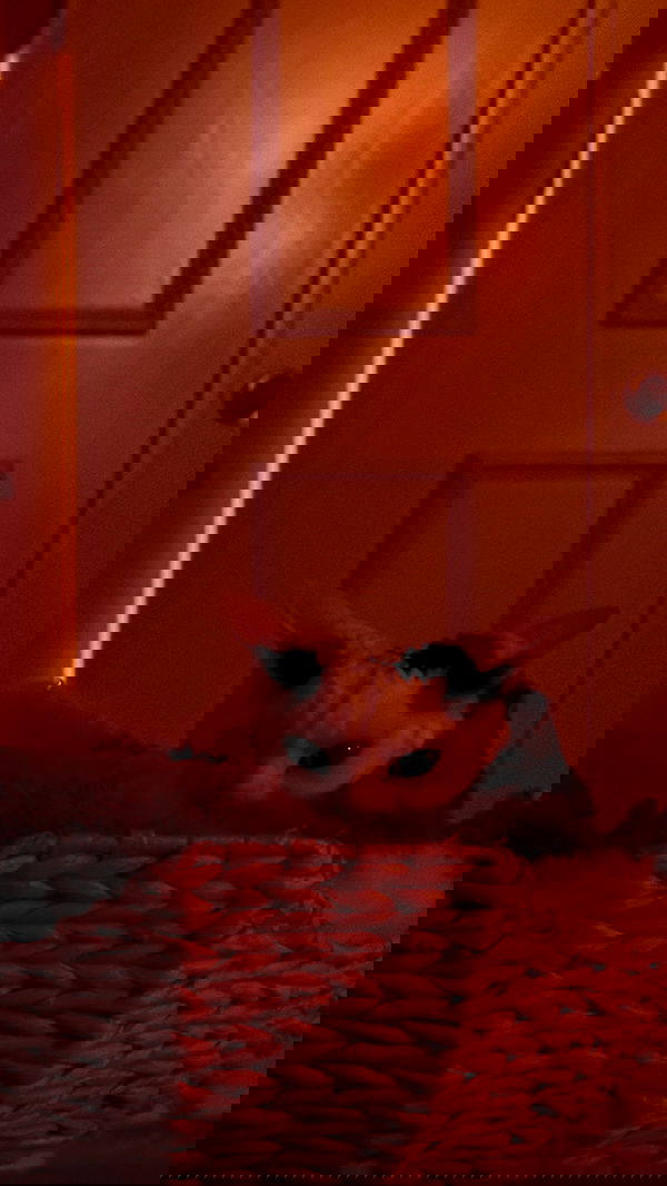 quarterjade quarterjade archive image