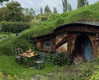maori_cohen Altpins Profile Picture