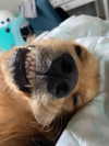 kayyybear Altpins Profile Picture