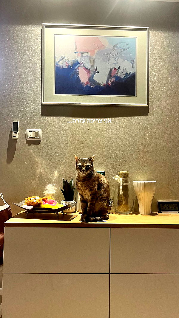 Archived image from @notchicore on Instagram