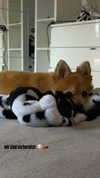nina.kxs Altpins Profile Picture