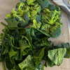 indra0102_ Altpins Profile Picture