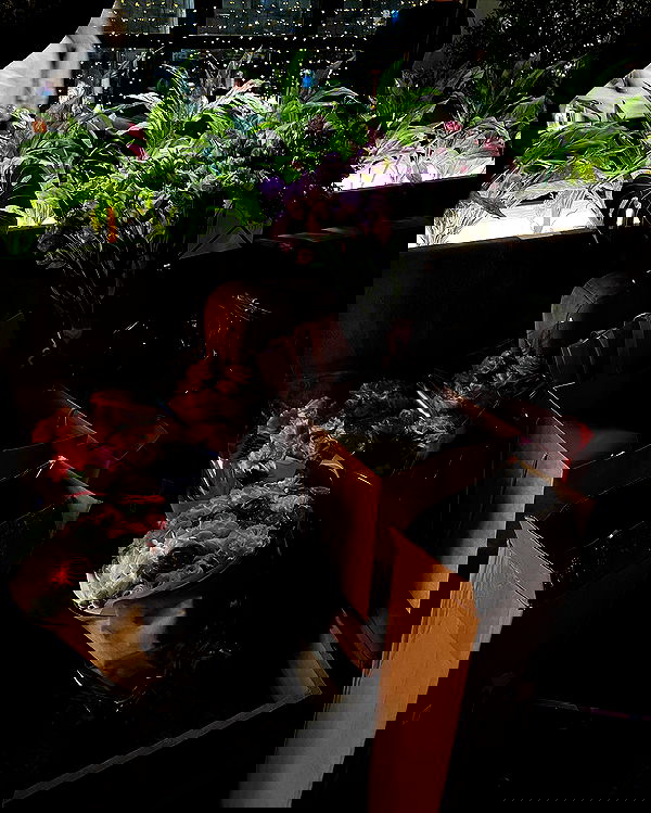 kkulakovaa image ~ Altpins