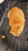 butter.on.a.poptart69 Altpins Profile Picture