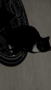 vampiryska Altpins Profile Picture