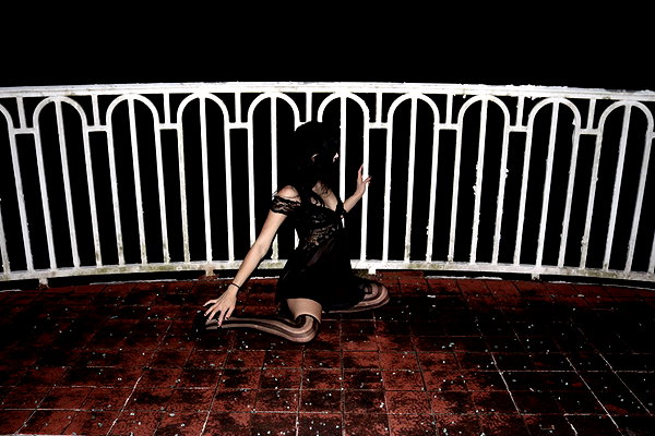 slowdxving archive image
