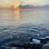 kafelnikova_a Altpins Profile Picture