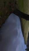 elizabethcampbelljones Altpins Profile Picture