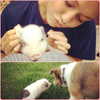 gigihadid Altpins Profile Picture