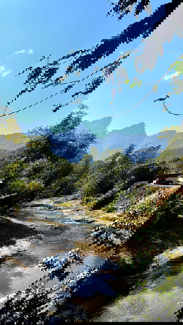 yam_adler yam_adler archive image