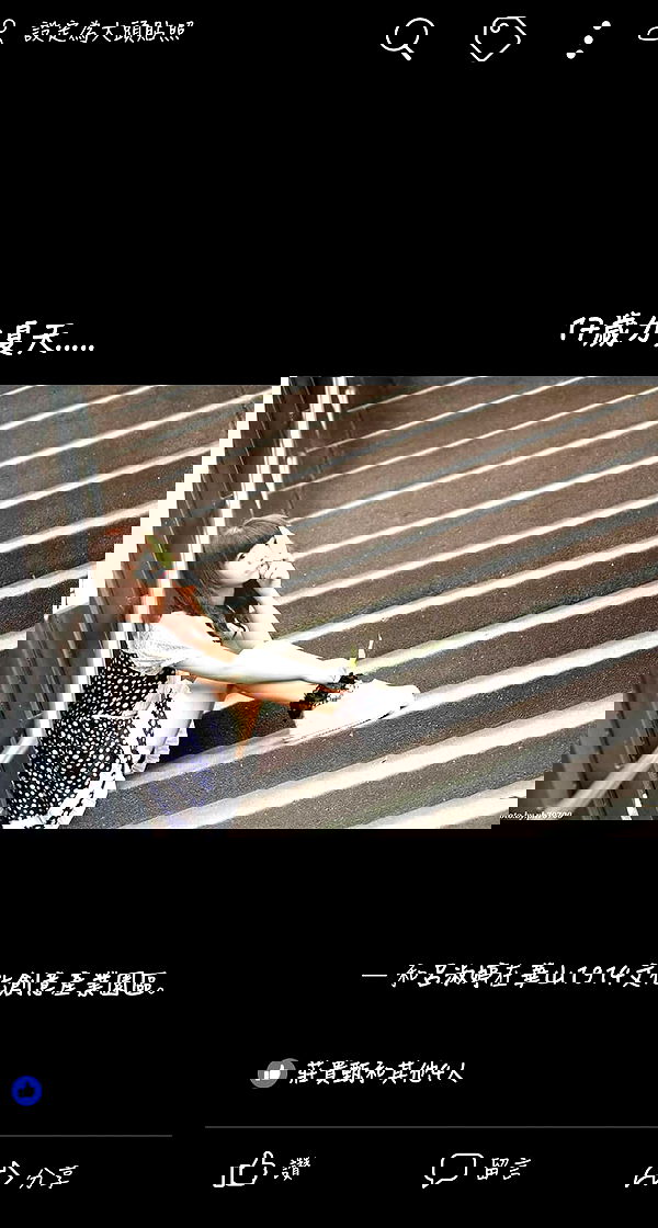 ting851204 ting851204 archive image