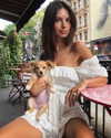 emrata Altpins Profile Picture
