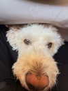 danamrts Altpins Profile Picture