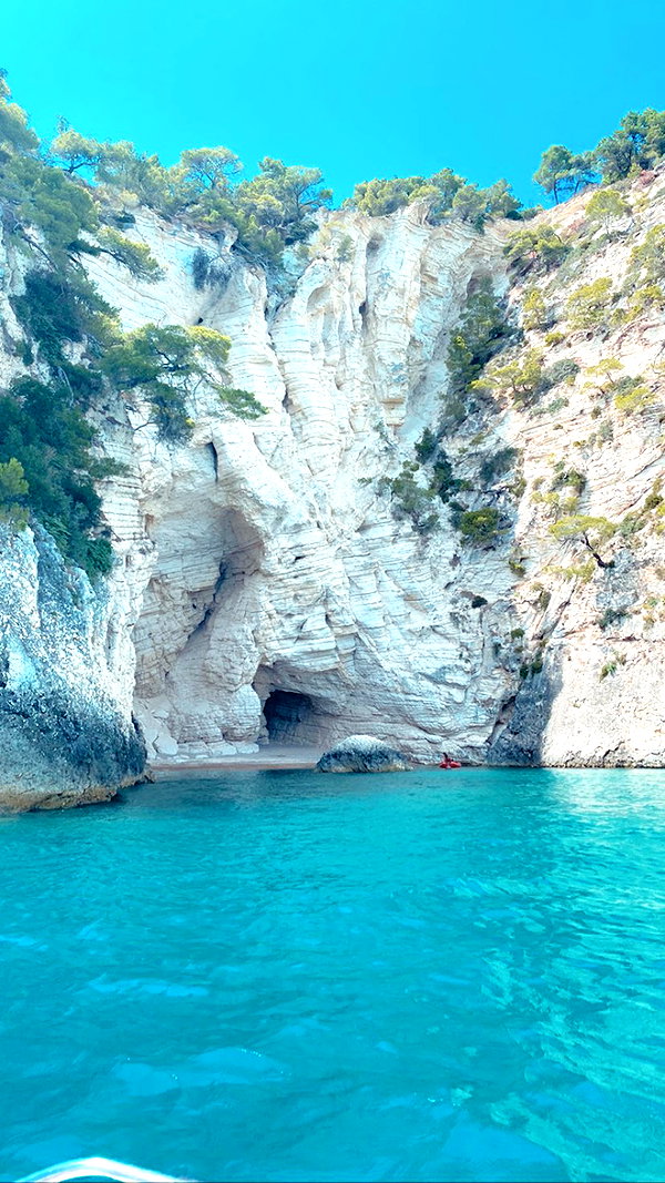 federica.piccinni instagram image archive image