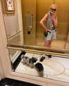 ashleybenson Altpins Profile Picture