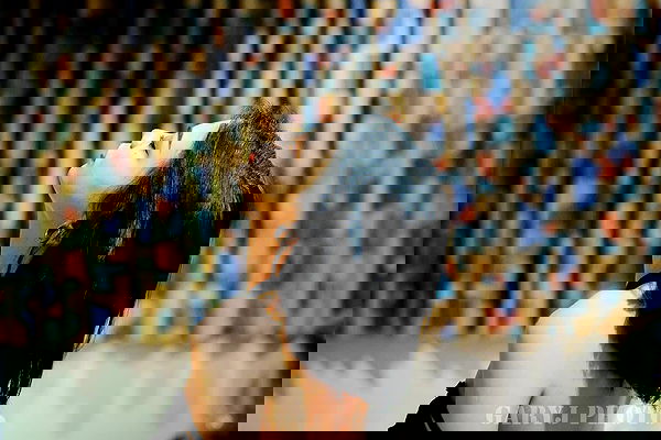 ting851204 ting851204 archive image