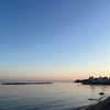 federica.piccinni Altpins Profile Picture