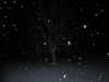 cyber.st4rz Altpins Profile Picture