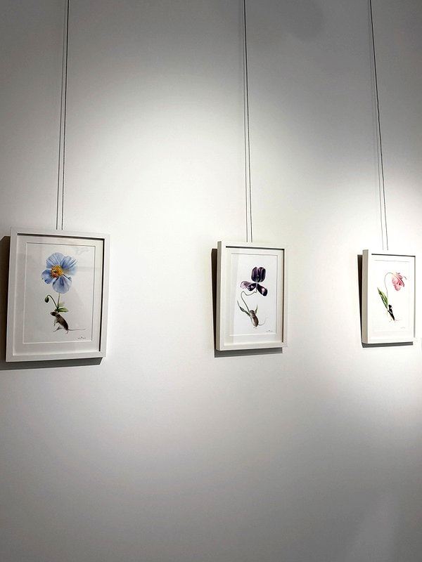 ekanve instagram image archive image