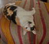 emmi.botta Altpins Profile Picture
