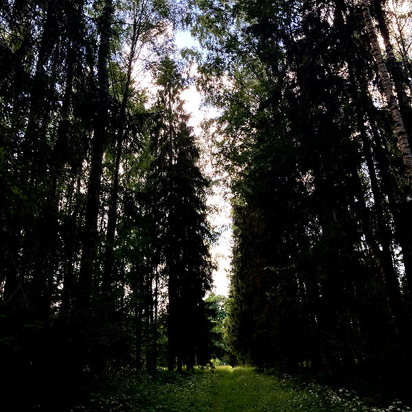 leanxhrt instagram image archive image