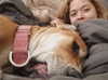 sashapieterse Altpins Profile Picture
