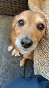 bat.wiings Altpins Profile Picture