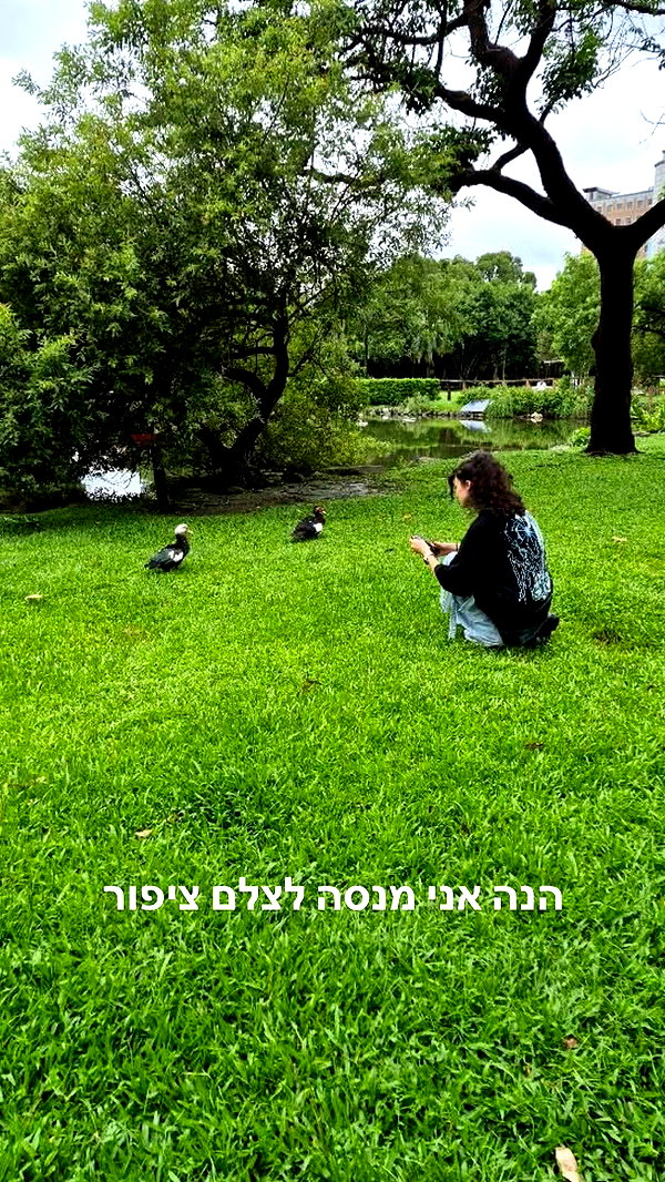 biton__adi instagram image archive image