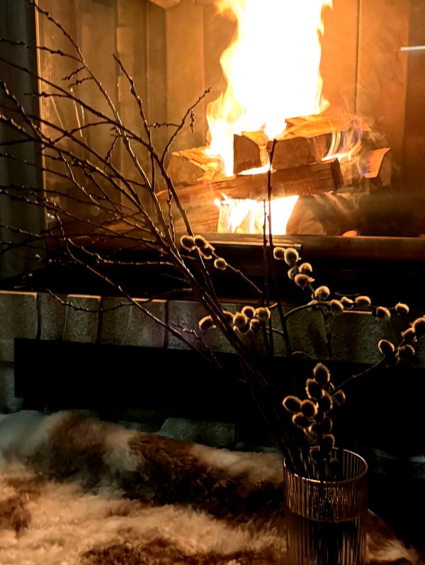 aseynat0r instagram image archive image