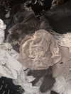 ash.onme Altpins Profile Picture