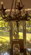 elizabethcampbelljones Altpins Profile Picture
