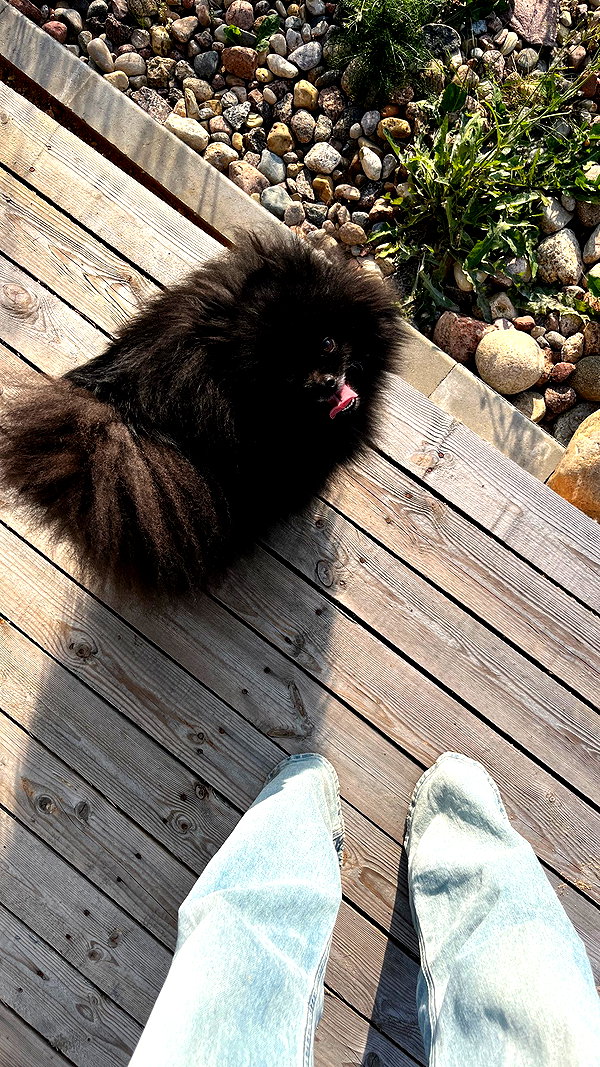 ptpchik instagram image archive image