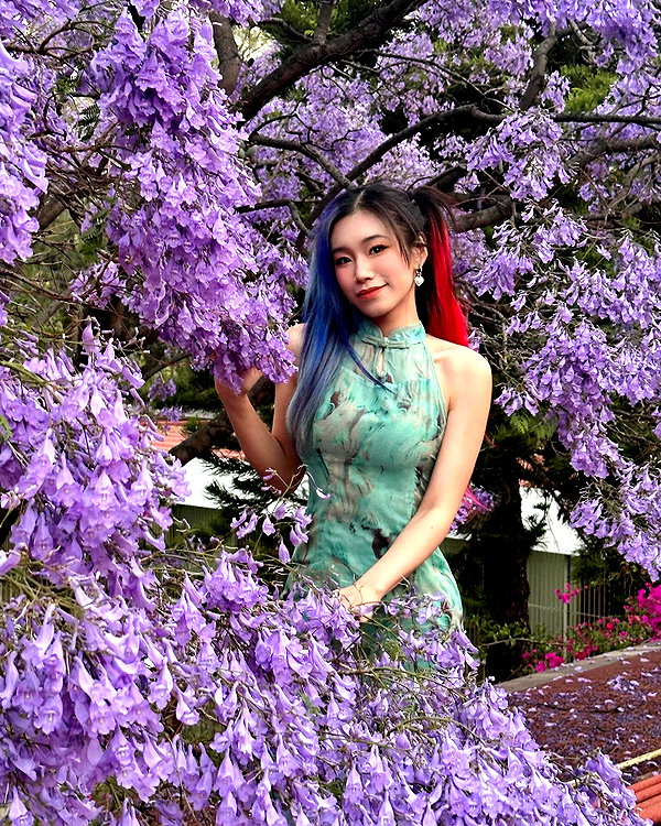shulunc instagram image archive image