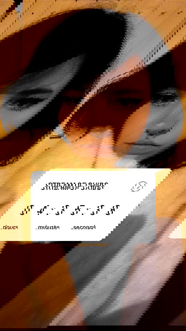 chibinekopurr chibinekopurr archive image