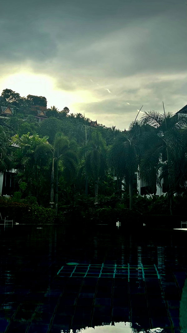 orman.mariee archive image