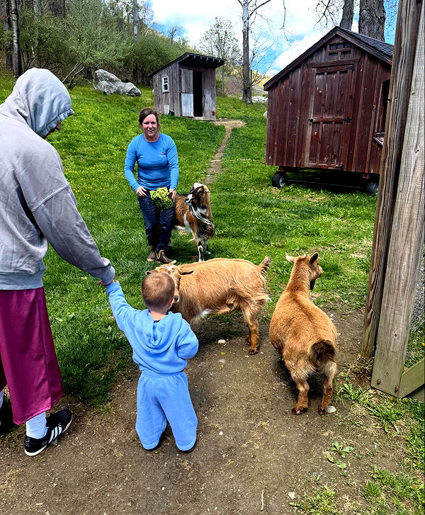 lilbieber instagram image archive image