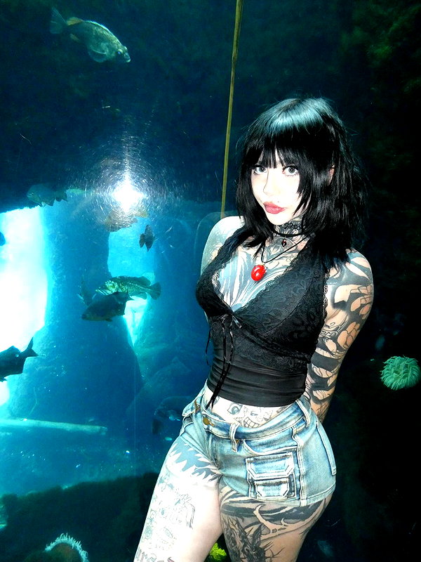 xtripleceleste instagram image archive image