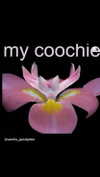 babynympho_archive Altpins Profile Picture