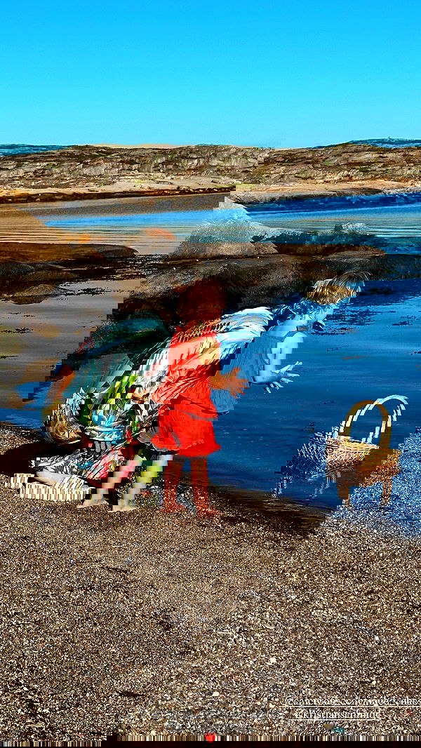 taylor.creeden taylor.creeden archive image