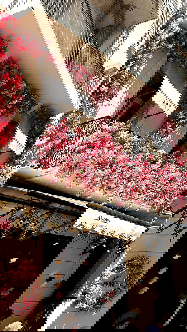 taylor.creeden taylor.creeden archive image