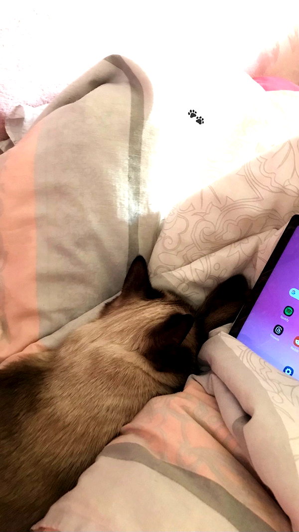 tiny.eviluv instagram image archive image