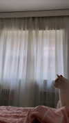 federica.piccinni Altpins Profile Picture