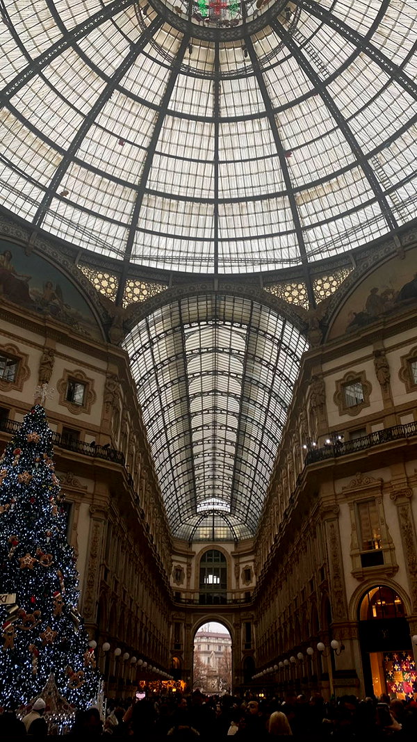 federica.piccinni instagram image archive image